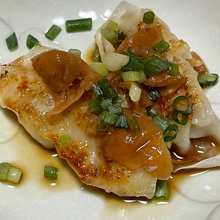 餃子 ( 梅 ネギ ポン酢 )